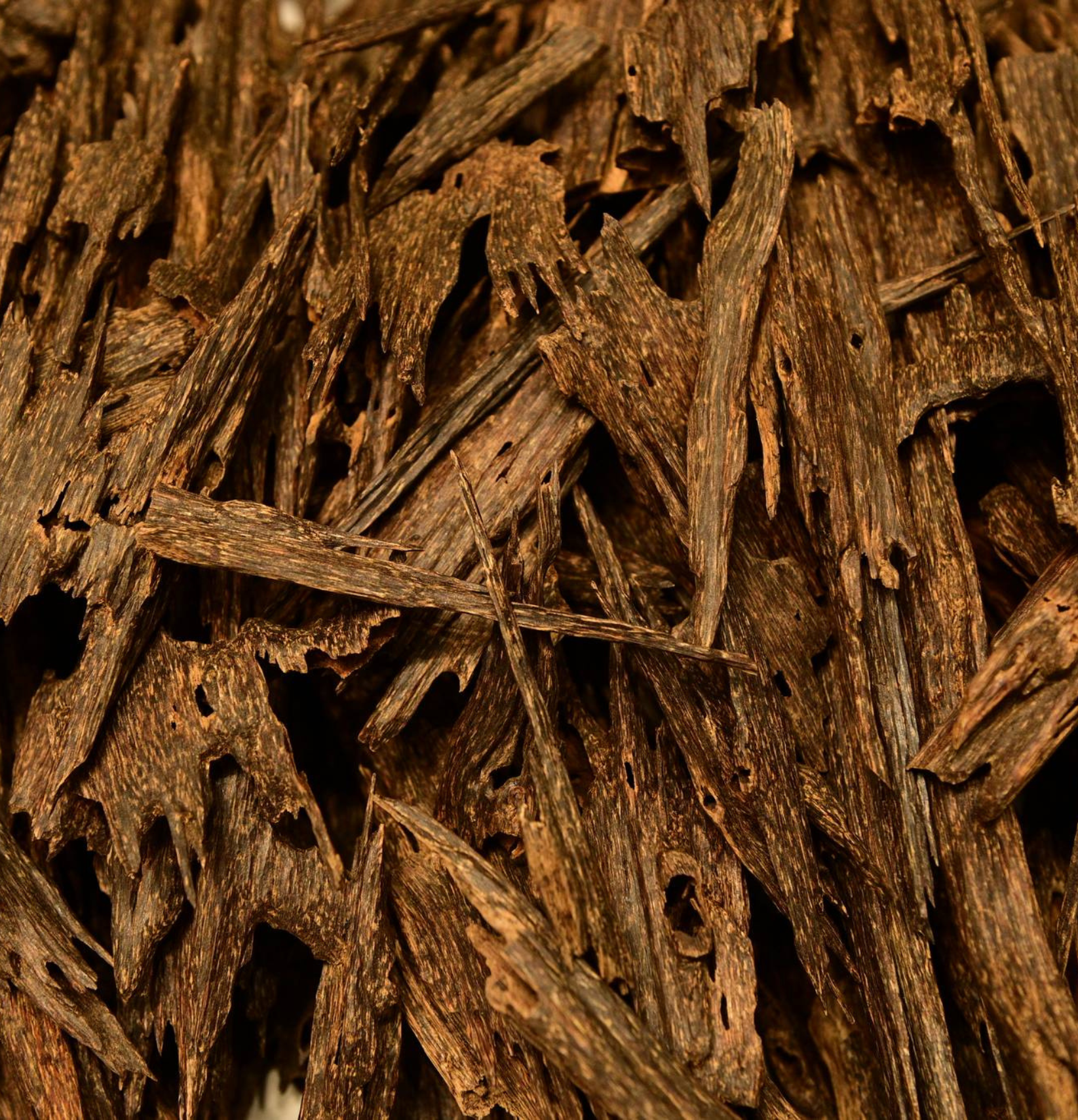 Oudh Hindi Daily Use