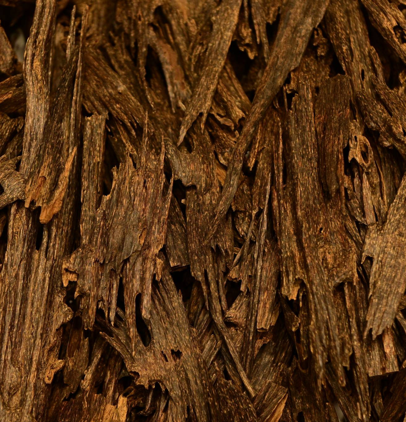 Oudh Hindi Sufi (Double Super)