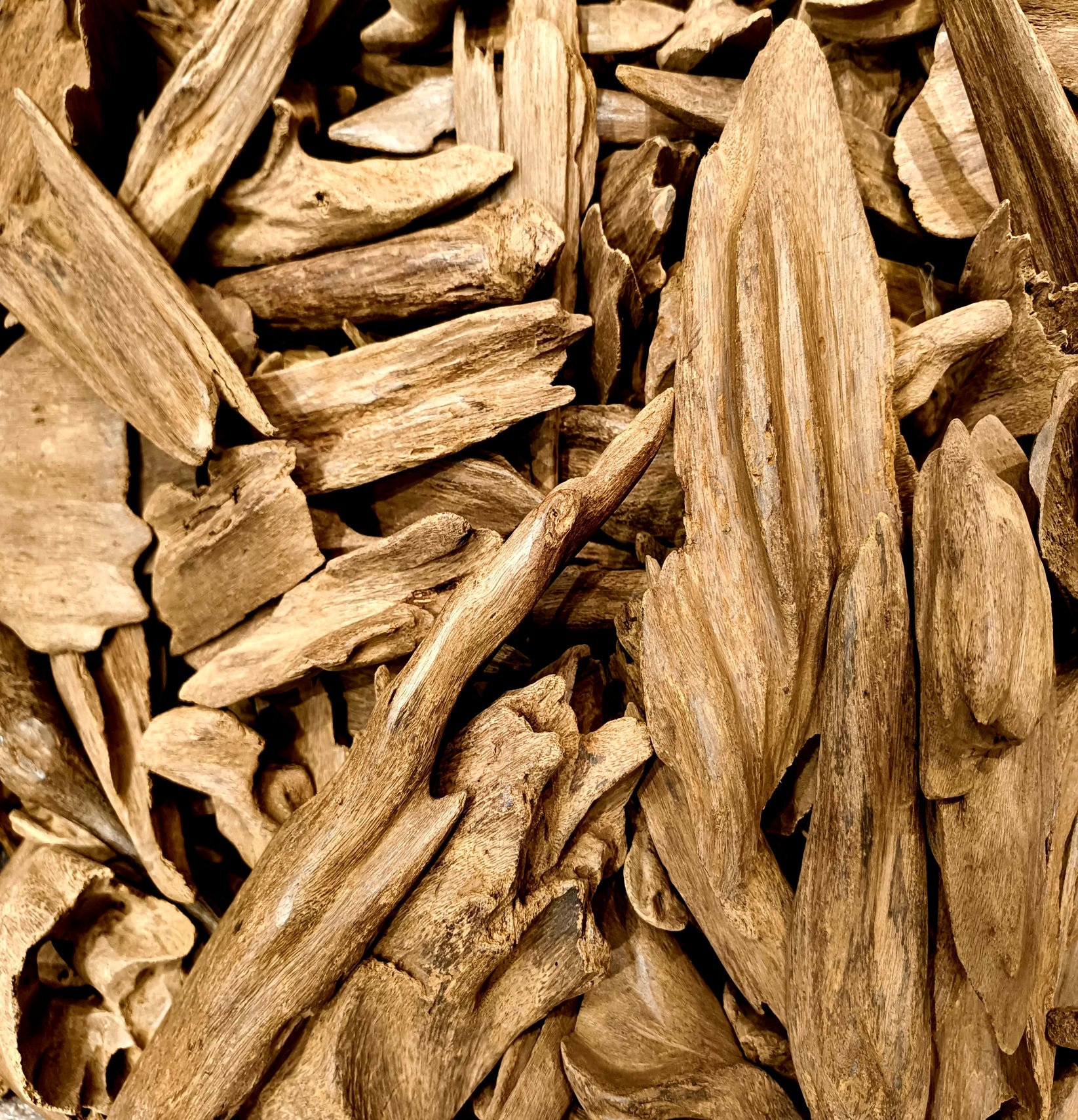 Oudh Merauki
